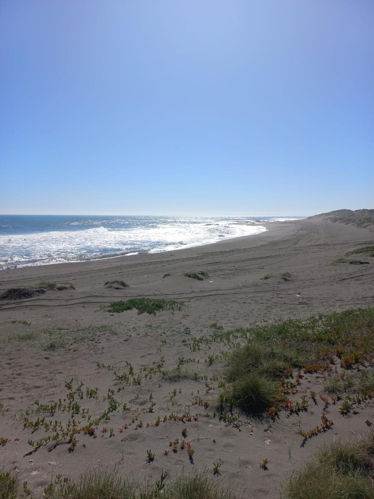 Ekilibre Surf Eco Hostal クラニペ エクステリア 写真