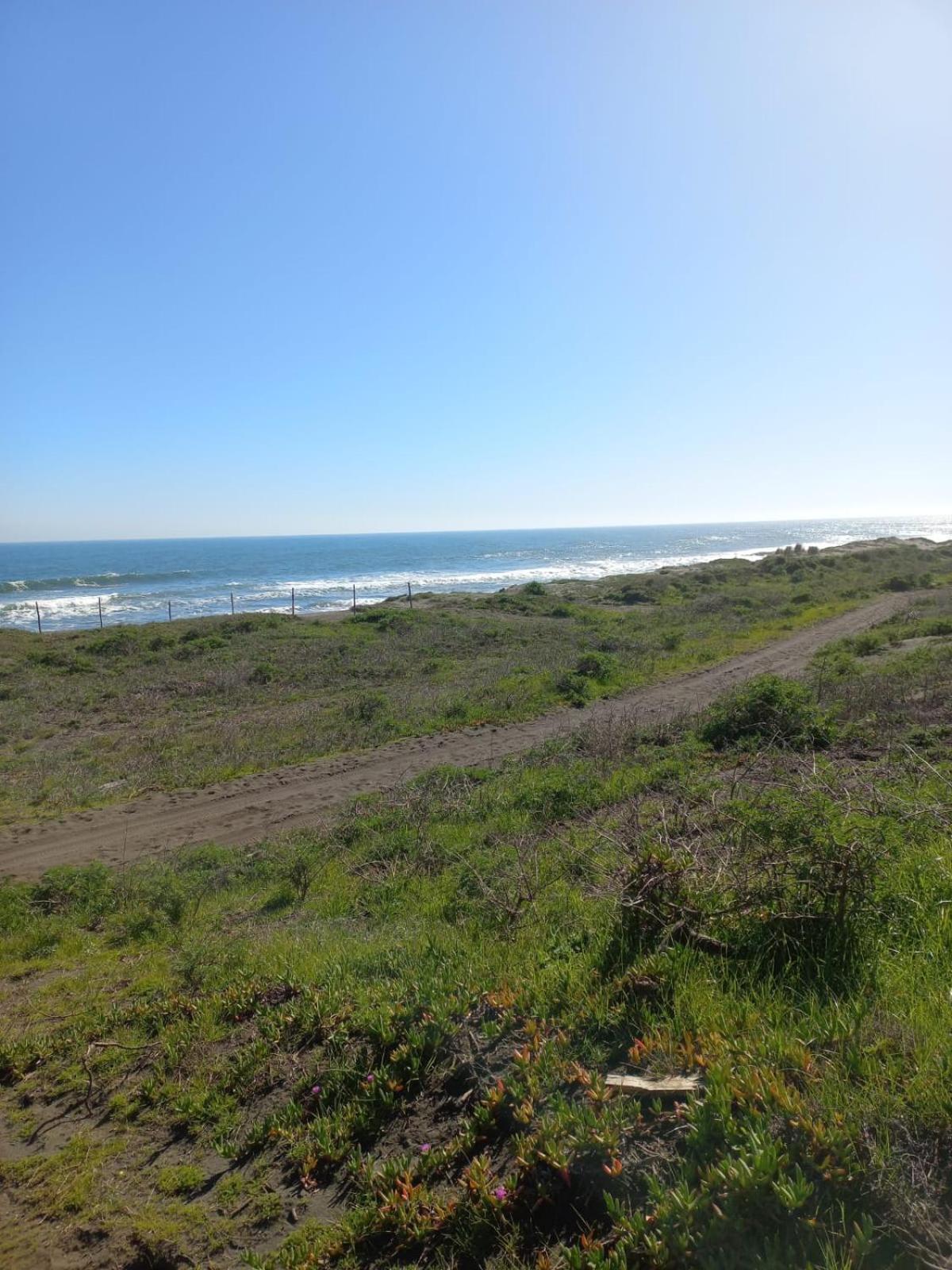 Ekilibre Surf Eco Hostal クラニペ エクステリア 写真